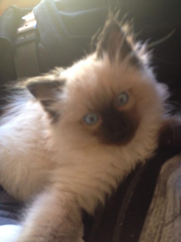 MelHumphries2's tweet photo. #selfie http://t.co/6xNHUZ2e1q