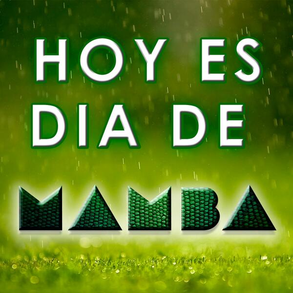 MAMBATORRE's tweet photo. TORRE!!!!!!

Esta noche nos vemos todos a las 00:30 en SALA PETACA para disfrutar de nuestra primera #MAMBA! #RTRTRT! http://t.co/6qKvvrPUfI