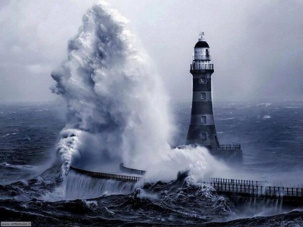 Gabriele Corno tweet media