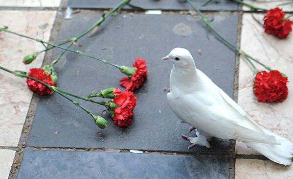 "Ethem"in vurulduğu yerde beyaz güvercinler!.. cnnturk.com/fotogaleri/tur…