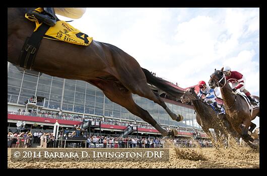 Preakness Chart 2014