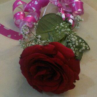 ssmxx1's tweet photo. http://t.co/O7DJ6YKvGa