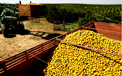 portalbrasil's tweet photo. #Pronamp beneficia proprietários rurais, posseiros, arrendatários e outros. Saiba+ http://t.co/7zgrOSTicB http://t.co/hiOrDbzj9R