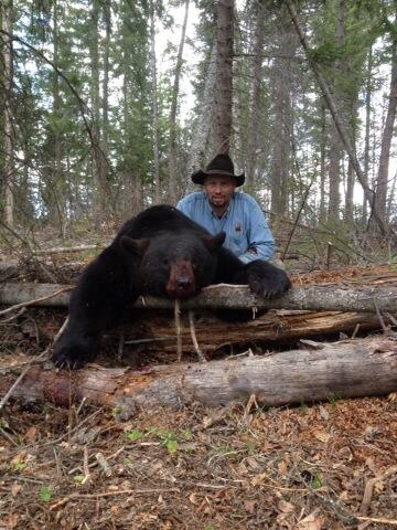 7 ft 9 square spring bear