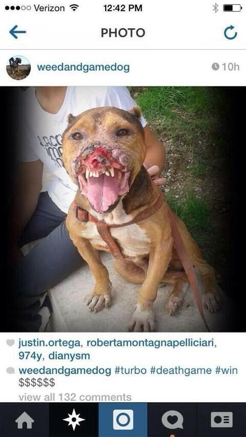 CauseWereGuys's tweet photo. Spread the word and get this dude arrested http://t.co/AZLeHSWGqs