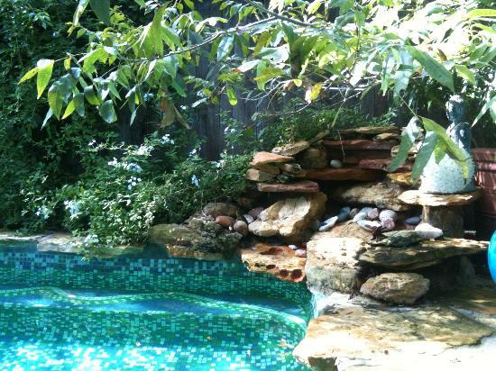 Summertime, and the living is easy.