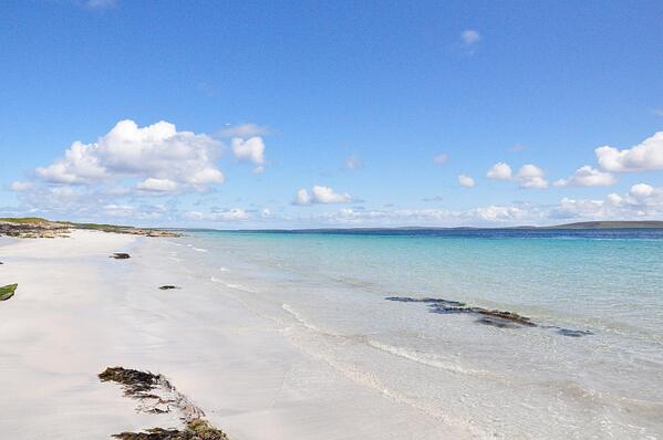 Late Deal Cottage tweet media