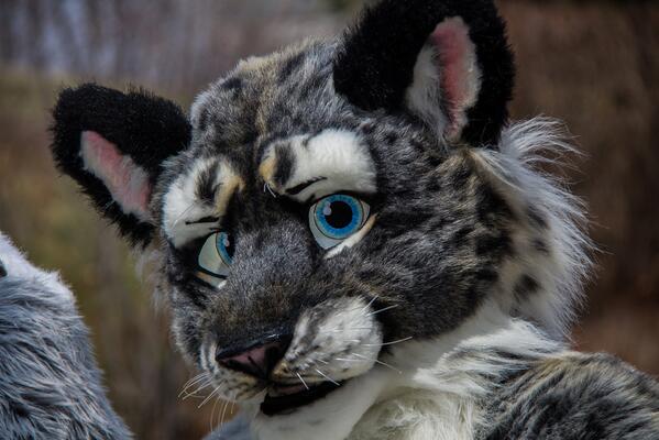 Greysnowcat, Motor City Fur Con 2014 by Skyfox1