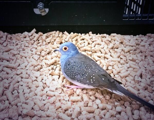 Petsmart1759's tweet photo. The sun is up,the birds are singing, and we are ready to be #inspiredbypets http://t.co/CZ47SInEM1