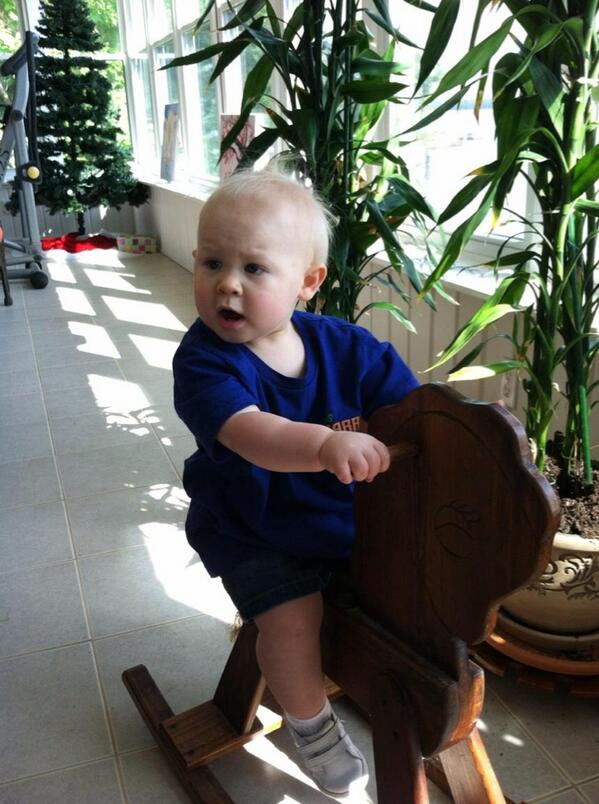 averyLMay's tweet photo. @DylanRSnyder I've got your rocking horse! Momma says his name is Simba but I shall call him "D" 💚💚❌⭕️ http://t.co/q0WCa5ukZ6