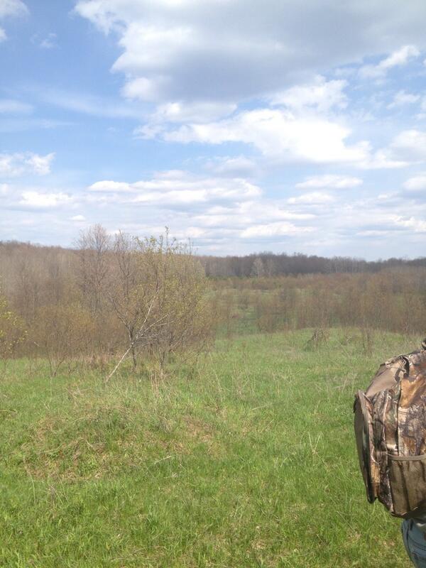 vidro23's tweet image. Not a worry in the world when I&apos;m here. #RaspberryHill #cabin