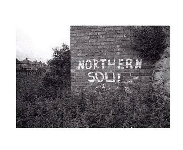 NorthernStay tweet picture
