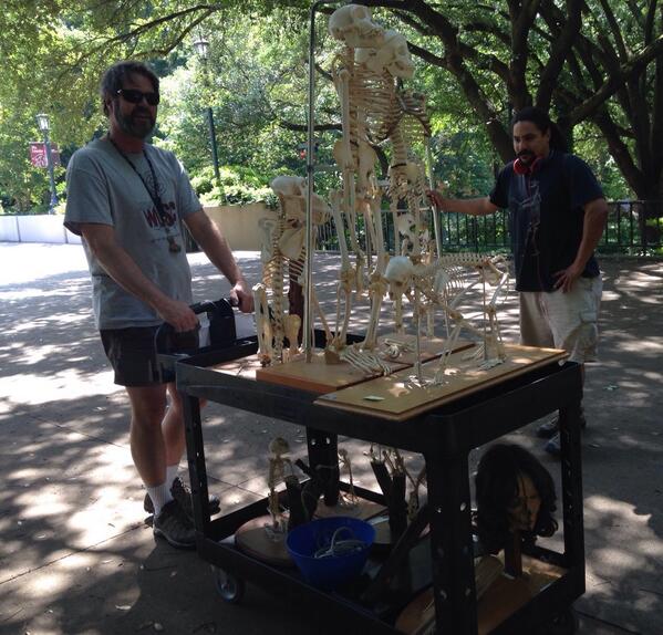 UofSC's tweet image. You never know what you&apos;ll see around campus during the summer! These skeletons are on the move at #UofSC