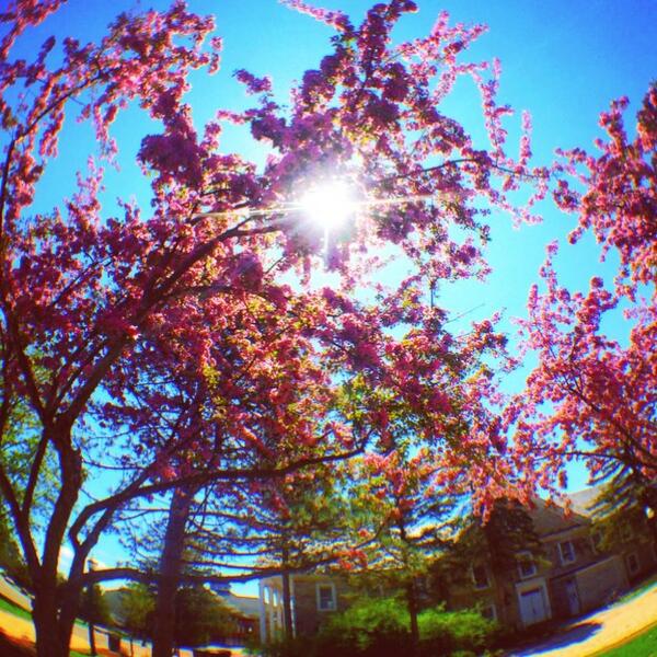 StLawrenceU's tweet photo. It's a pretty day, but a lonely one. Missing our Saints big time. http://t.co/FPRtsxAmfJ
