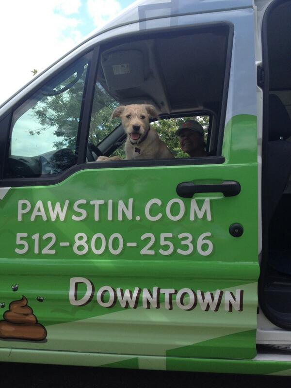 Mila at the wheel. That's the way we roll  at Pawstin.