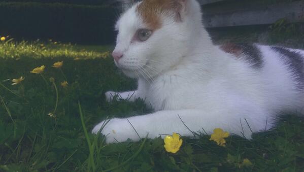 Cutie😻😺