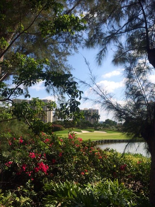 Such a pretty day outside 😍 http://t.co/dj6qSCjrpf<a href="/tag/miami"class="tags"><span>#miami</span></a>