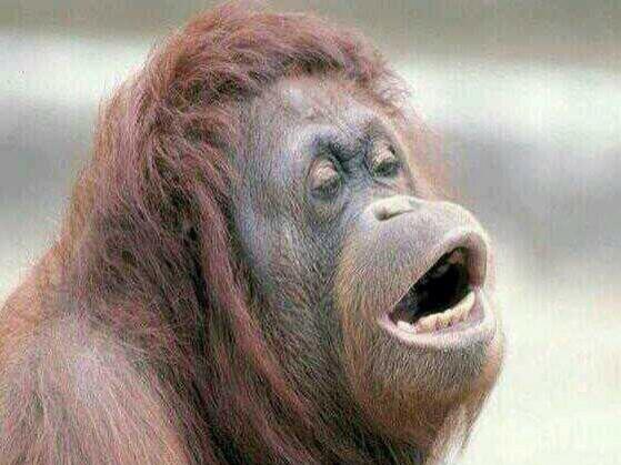 UNIENFURECIDA's tweet photo. Esta es la primera cara que ponemos al ver el examen... http://t.co/aD3H42rlb6