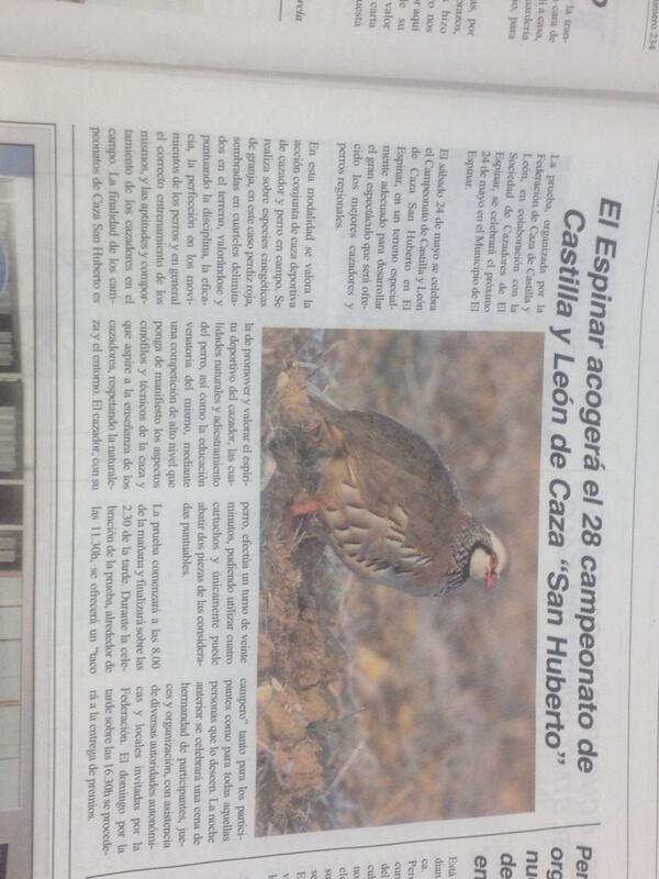 RT <a href="/antonioleon2000/">Antoñito leon</a>: <a href="/ECODICTADURA/">¡SÍ a la CAZA!</a> <a href="/CazaYArmas/">Caza & Armas</a> <a href="/jaraysedal_rev/">Revista Jara y Sedal</a> <a href="/decaza1/">De Caza</a> <a href="/cazapasion/">Caza Pasión</a>