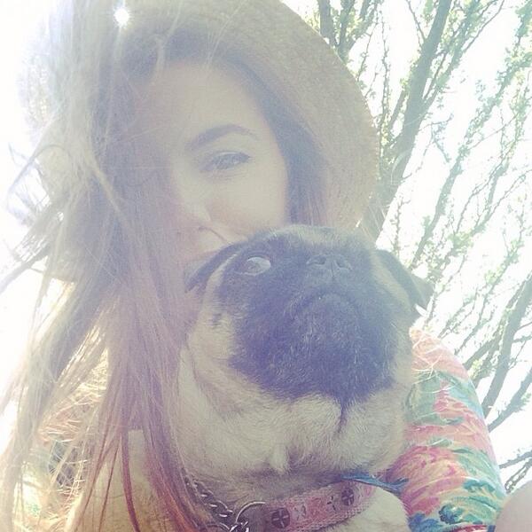 NotPuga tweet picture