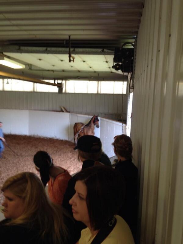 PeeperRanch's tweet photo. NDSU Equestrian Team watches Phil work Gaston @PeeperRanch @NDSU http://t.co/FZY44EHNpu