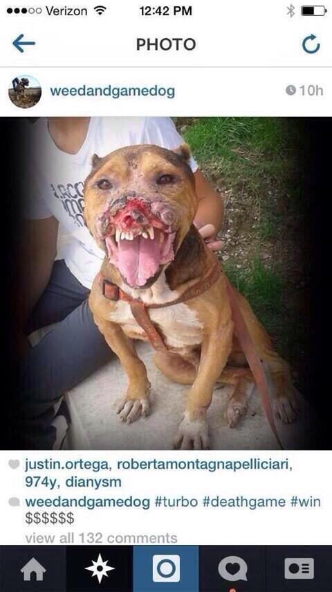 TopFBVids's tweet photo. Spread the word and get this asshole arrested http://t.co/f9voeYpa1B
