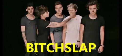 nunenune2's tweet photo. slap anyone who says you will never MEET YOUR IDOL
#hateonedirection
#IMNEVERLEAVINGTHEONEDIRECTIONFAMILY http://t.co/2ofYelO8iE