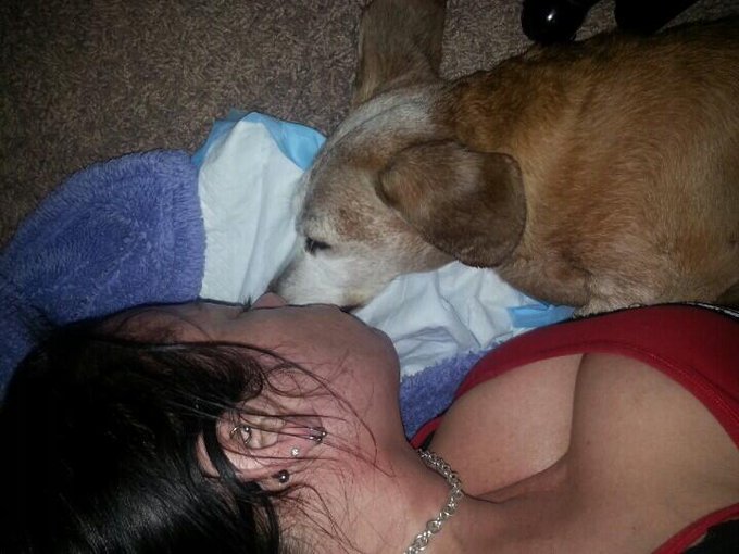 Kisses for my Buddy boyo after he threw up. Again. This is a very bad day.... gonna get worse http://t<a href="/tag/vegas"class="tags"><span>#vegas</span></a><a href="/tag/fullynude"class="tags"><span>#fullynude</span></a><a href="/tag/fullbar"class="tags"><span>#fullbar</span></a>