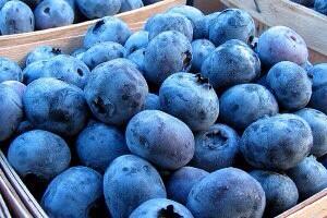heaIthy_Iiving's tweet photo. Add THESE 10 superfoods to your diet &amp; trim fat for bikini season the easy &amp; healthy way😍👙: http://t.co/HGRqFWg9AG http://t.co/6kS8sqktru