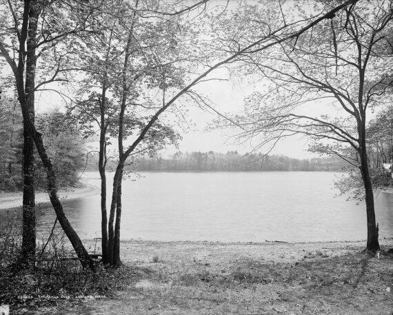 Henry David Thoreau's view of Walden Pond- from his cabin
etsy.com/listing/183655…