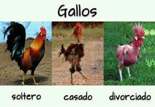 Las cosas  ∂є  la vida
