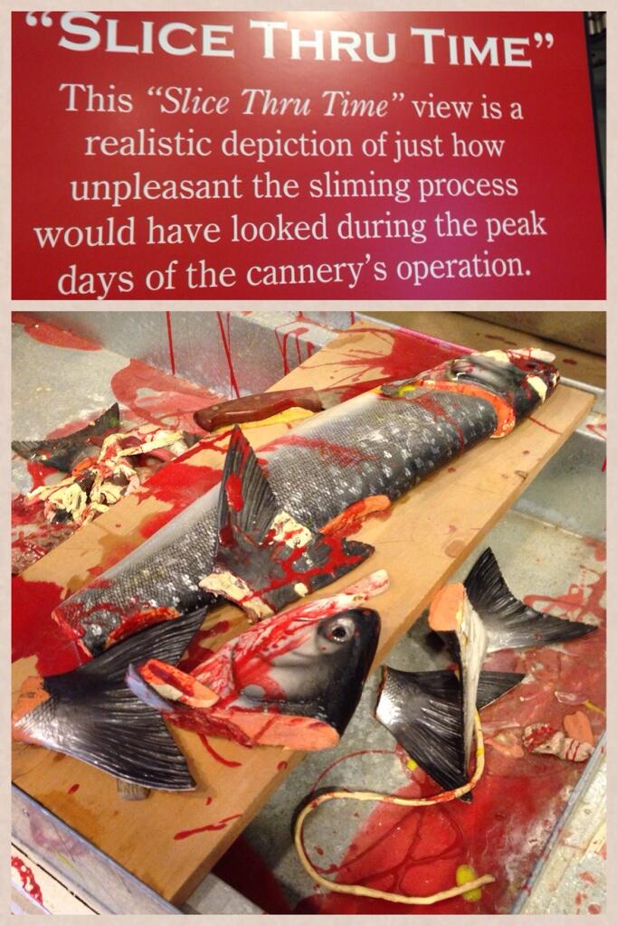 BoCGi9kCAAE2T4X.jpg:large