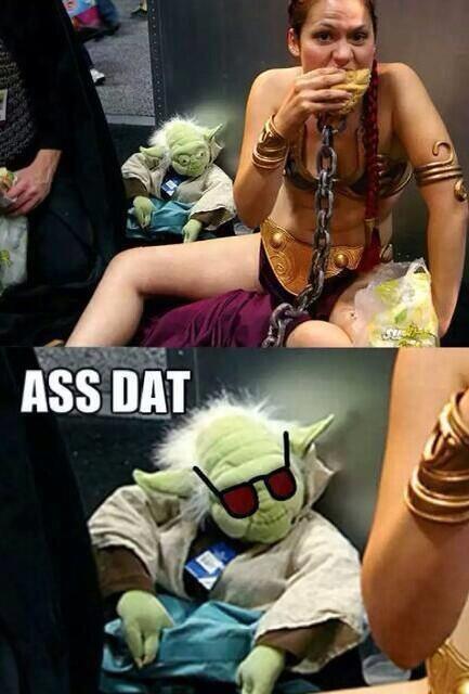 Yoda you sly dog