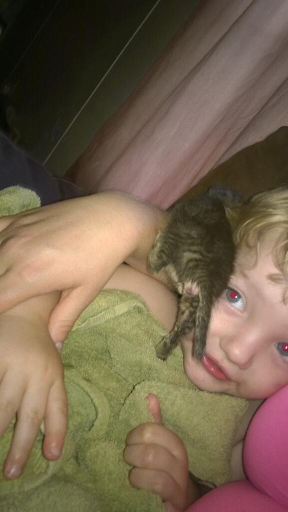 KrissyShrum's tweet photo. He's like oh crap! What do I do now?? http://t.co/kqo4tT6EtV