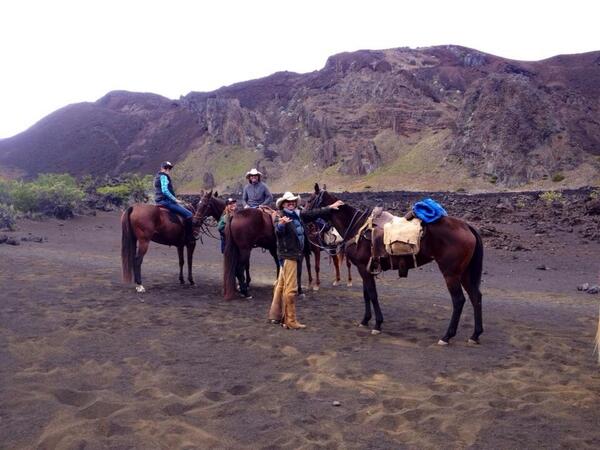 HIPoloAssn's tweet photo. Know much about Paniolo polo?
http://t.co/p2Veg2BRXg http://t.co/5Mf552Eezd