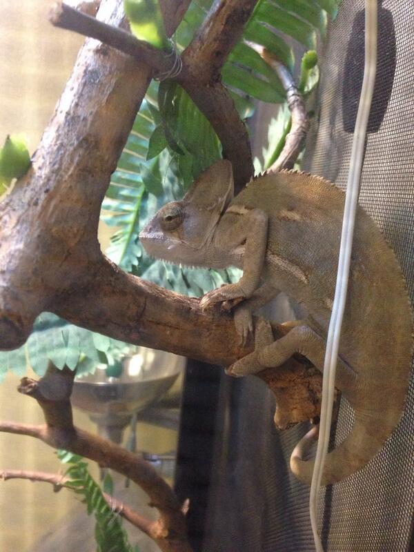 stringgreenbean's tweet image. STEVE❤️❤️❤️❤️😍😘😘😘