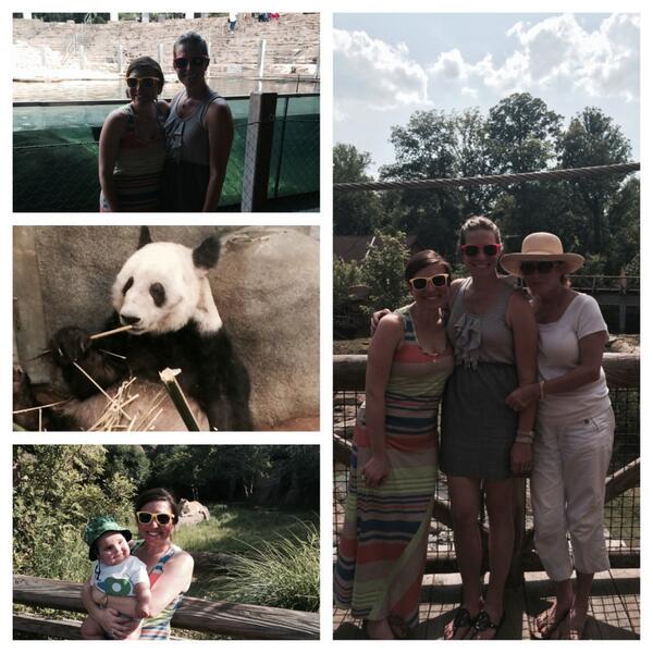 LindsaySarabia's tweet photo. Sebastian's 2nd visit to a zoo. Gorgeous day at the Memphis Zoo w @ejlowery http://t.co/0FIVmVhzxH
