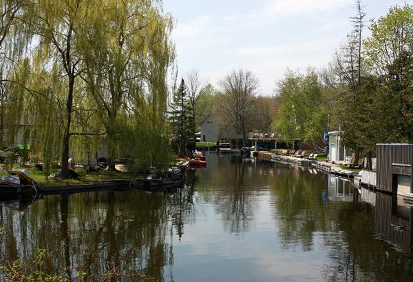 Pretty scene on the Holland River off of Lake Simcoe #hollandriver #lakesimcoe #lakesimcoeboating #riverpics