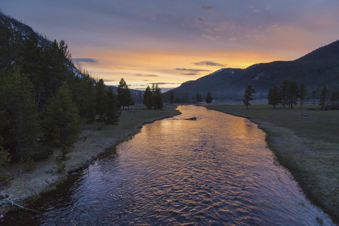 Yellowstone National Park's Twitter feed: Spring sunset on the Madison River. pic.twitter.com/8nZSxJvBeZ