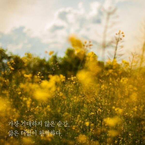 munhakdongne's tweet photo. 가장 기대하지 않은 순간
삶은 더없이 완벽하다.

_수전 스펜서-웬델, 
『안녕이라고 말할 때까지』 #문학동네 http://t.co/qes48zQtW8