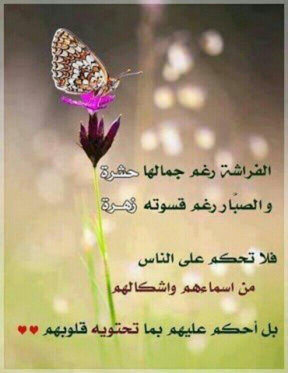 zzzz90341's tweet photo. http://t.co/UtKiBB42Qa