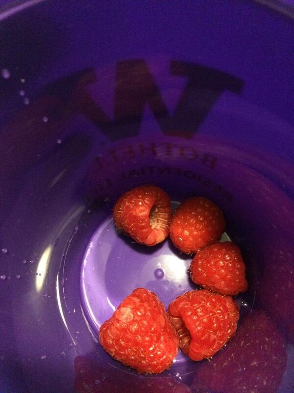 tothemaxx11's tweet image. Raspberries in my water 💙 #whereisthewater??