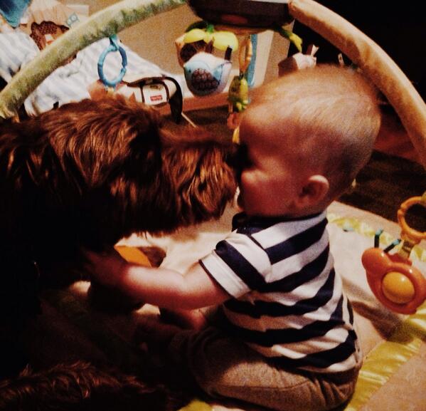C_Cubeta's tweet photo. @TheEllenShow brotherly love http://t.co/pUU8BQ7VYN