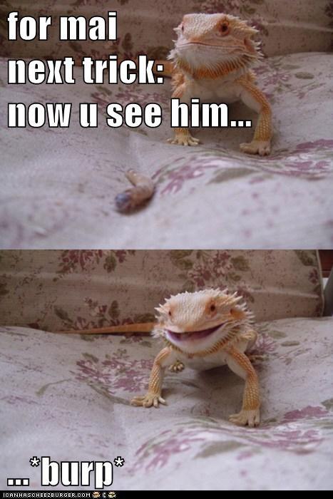 belleblueb's tweet photo. Magic trick gone wrong, oops! http://t.co/sCWo342I0L