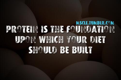 FitnessTipsBlog's tweet image. i like this nutrition quote #GYM #Health #Motivation #fitness