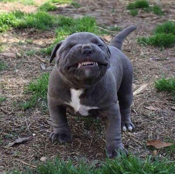 parebear13's tweet photo. When i try and be cute... 😂😂😂😩 http://t.co/ol3ZZ72sB2