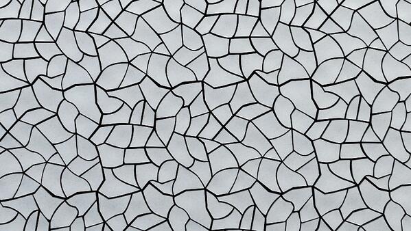 frithdimension0's tweet image. Kaza win gold at Chelsea Flower Show.     telegraph.co.uk/gardening/chel…