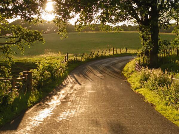 lovelochlomond's tweet photo. RT @oaktreebalmaha The road along east side of #LochLomond leading from Drymen, through Balmaha &amp; onto Rowardennan http://t.co/EKZz0D59lL