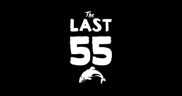 WWF's tweet photo. What would your world be like if you only had 55 friends left? Save #thelast55 Maui's dolphins http://t.co/lpmVnsM19j http://t.co/sSBvkMV9xI