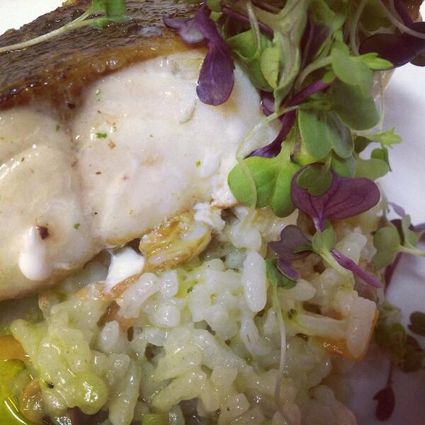 PalacioFerrera's tweet photo. ¿Os apetece mero con arroz cremoso de berberechos? http://t.co/crd18vUFBj